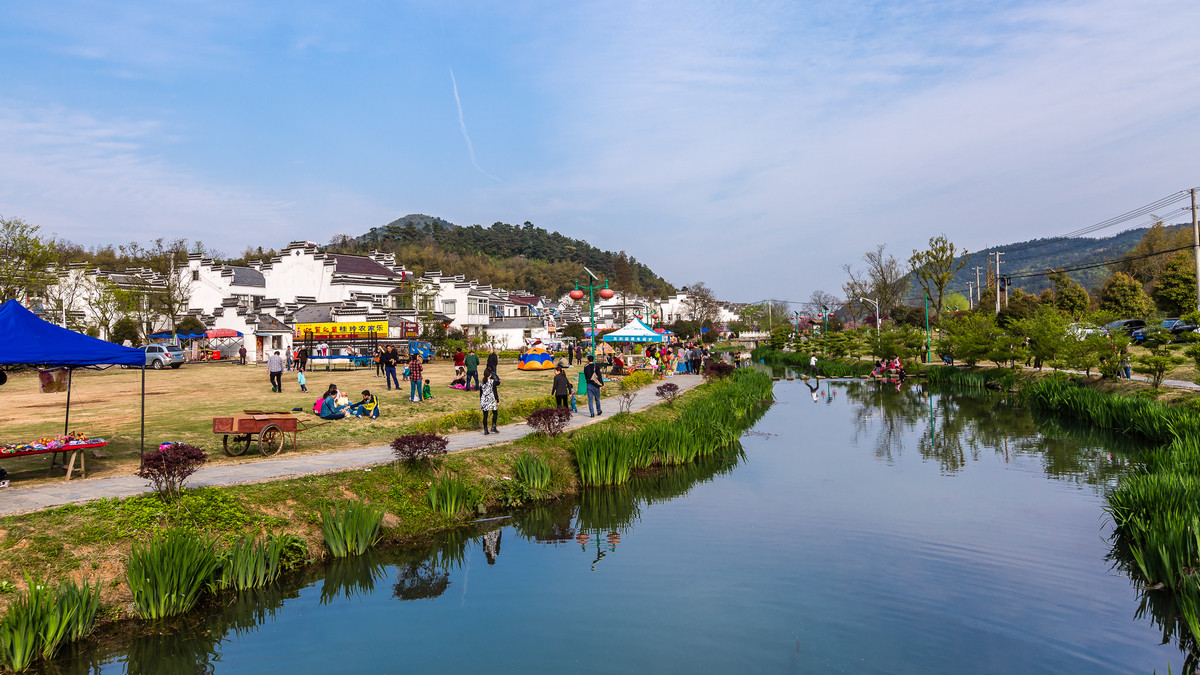 美丽乡村石塘竹海石塘村二