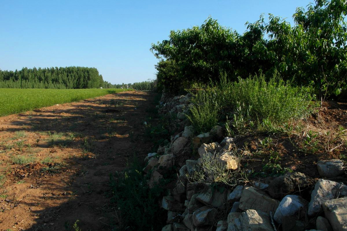 #版主坐堂#2016年5月份《承德》优秀作品选辑