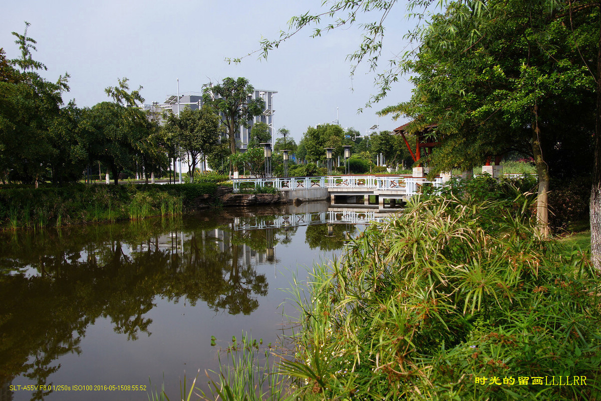 #版主坐堂#2016年5月份《承德》优秀作品选辑