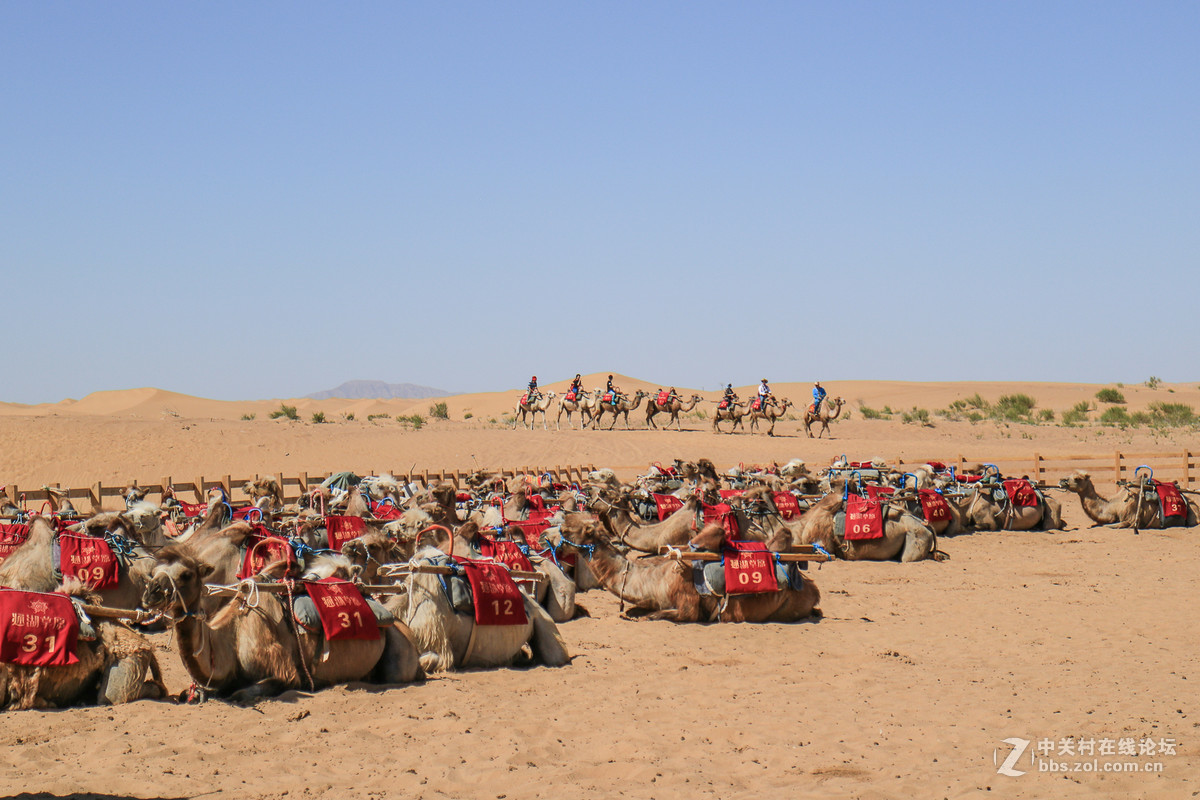 带着M3游青海（三）腾格里