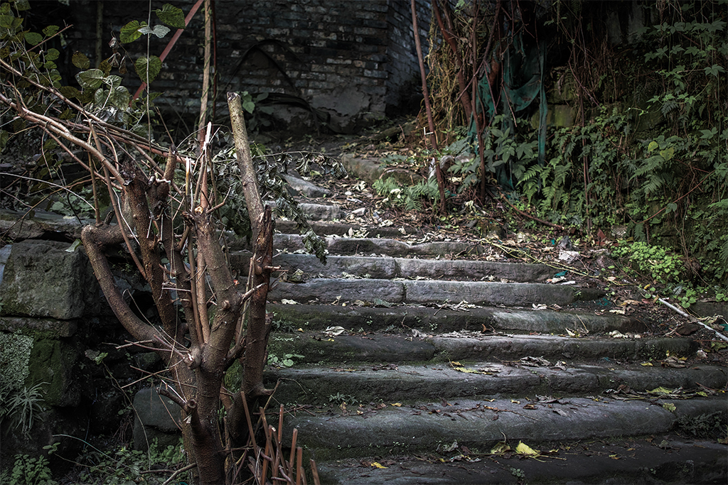 试拍（借来的机器，时间设置有误，请谅解）