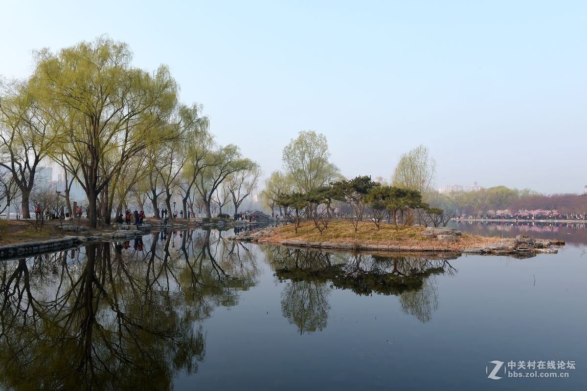花开——玉渊潭（二）