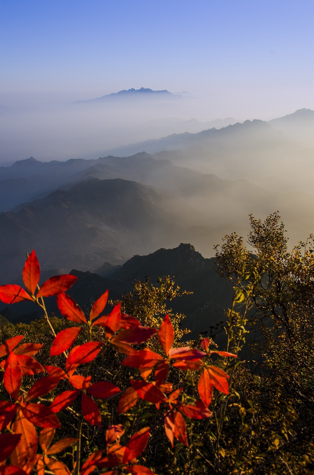 大茂山森林公园，自然风光秀丽，以雄、险、奇、秀闻名于世