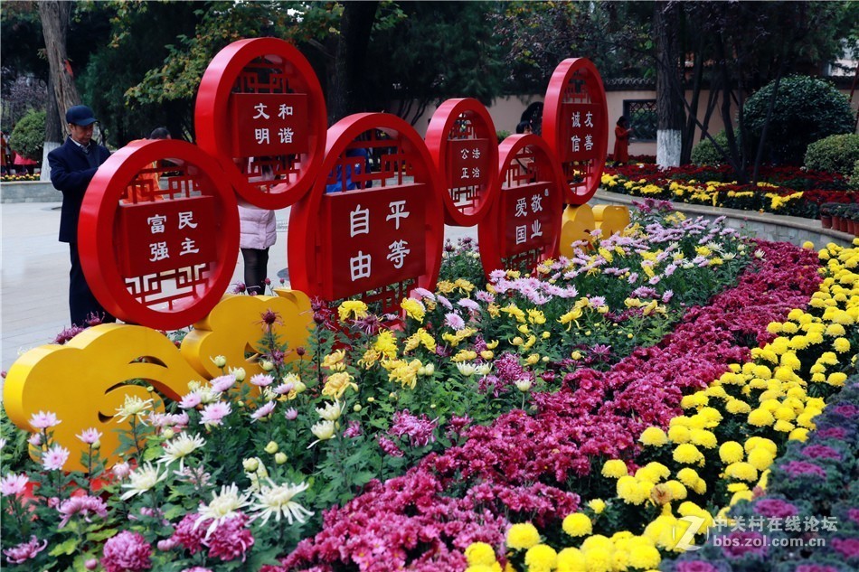 2018年“菊舞金秋·美秦州”主题菊展灿烂绽放
