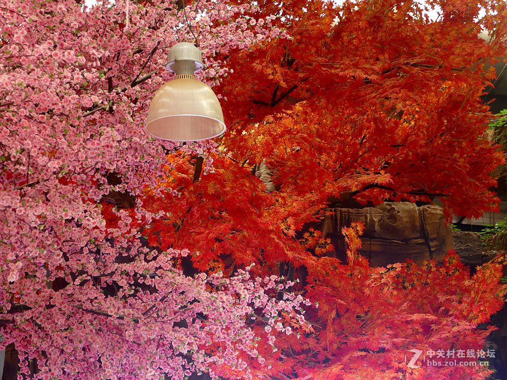 徕卡114入手一周年纪念帖