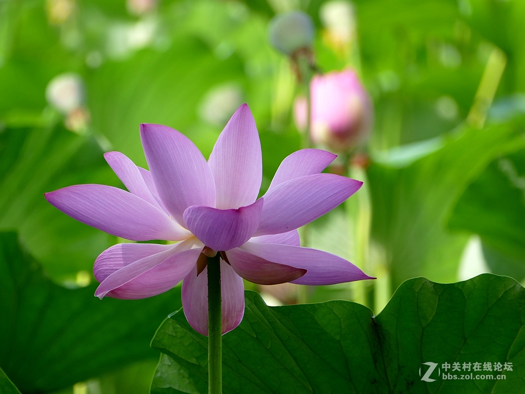 徕卡114入手一周年纪念帖