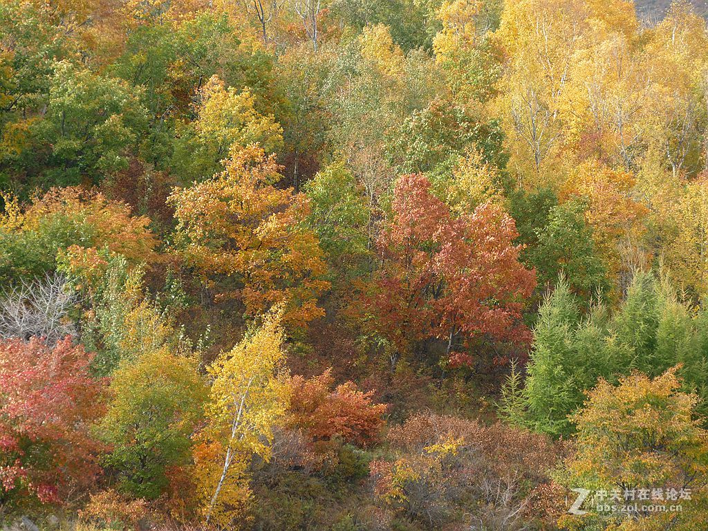 徕卡114入手一周年纪念帖