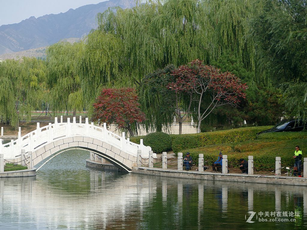 徕卡114入手一周年纪念帖