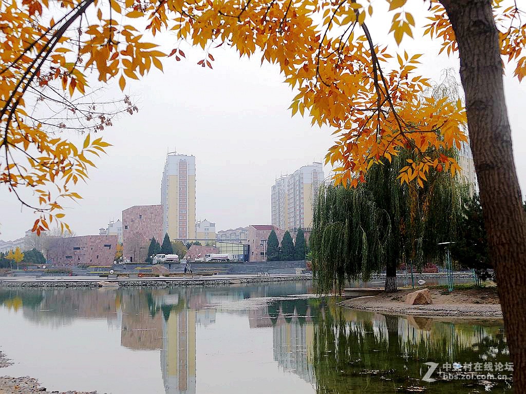 徕卡114入手一周年纪念帖