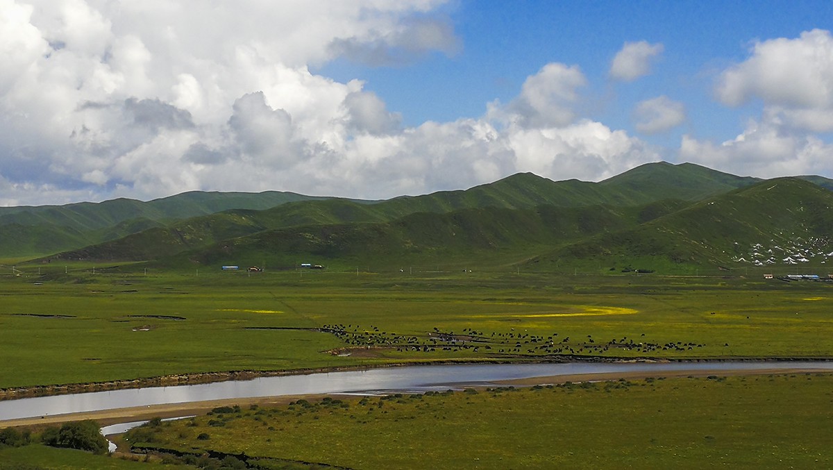 红原  月亮湾——2017川西北、甘南、青海自驾八日（2）