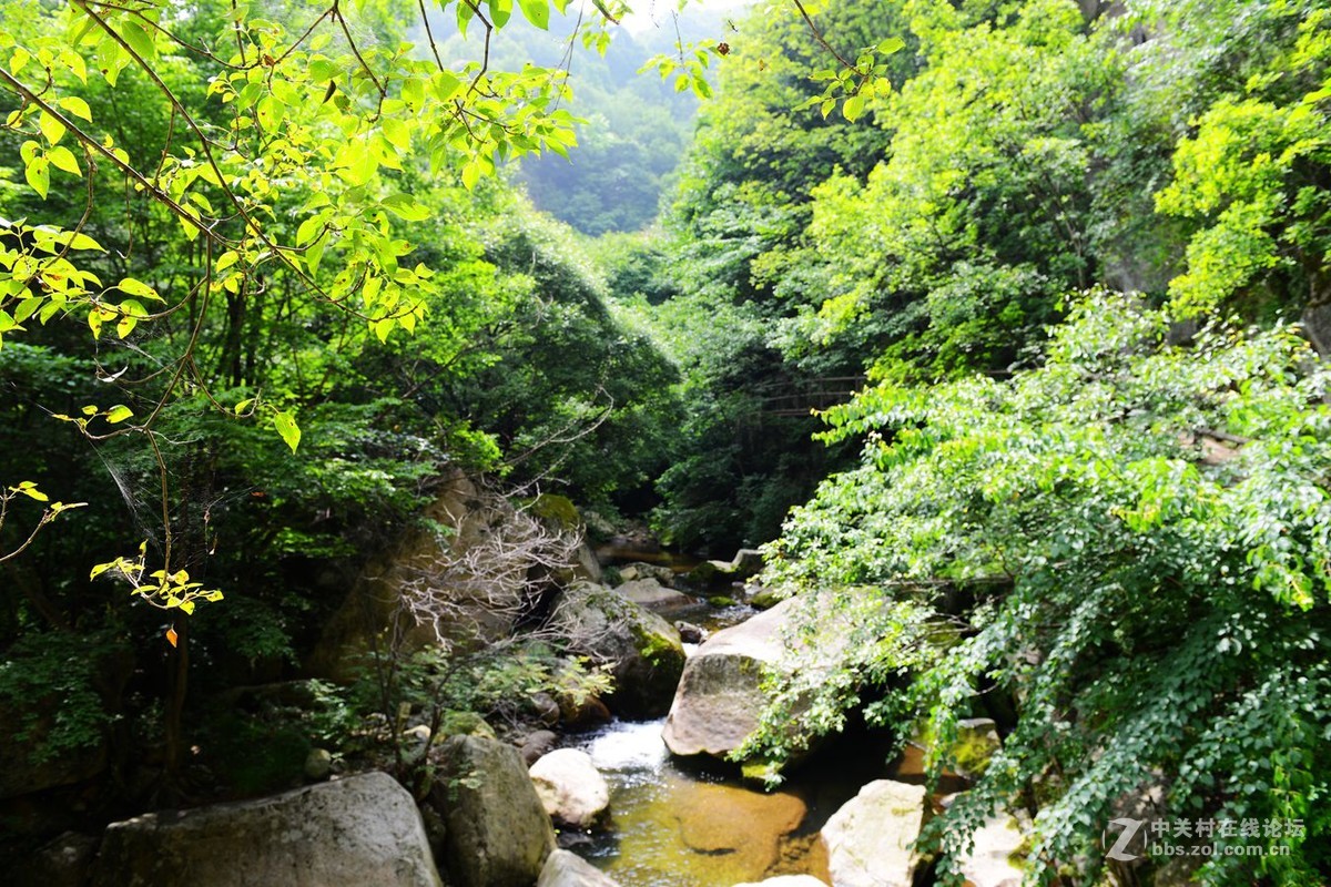 栾川天河大峡谷自然风光剪影（2）溪水长流