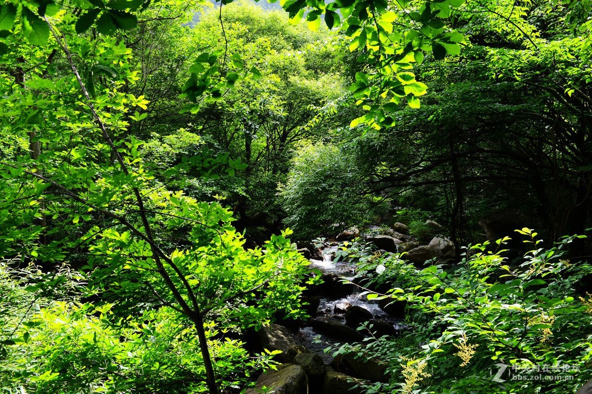 栾川天河大峡谷自然风光剪影（2）溪水长流