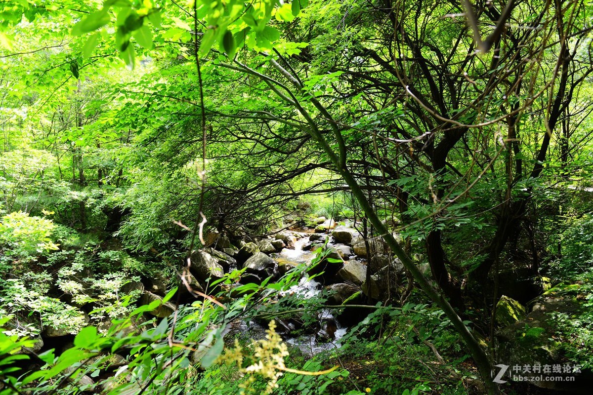 栾川天河大峡谷自然风光剪影（2）溪水长流