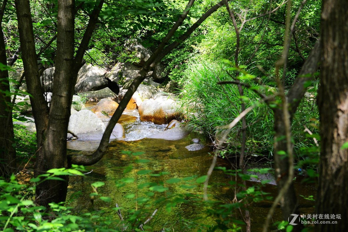 栾川天河大峡谷自然风光剪影（2）溪水长流