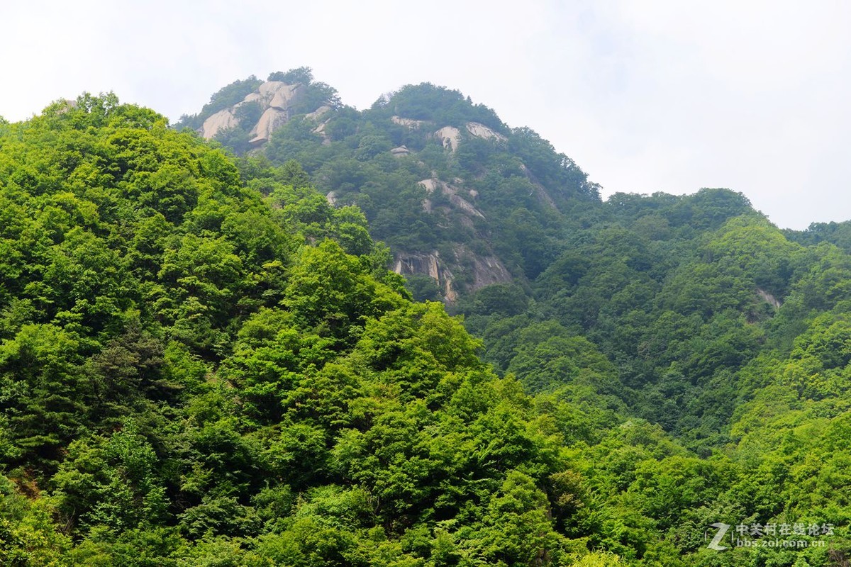 栾川天河大峡谷自然风光剪影（2）溪水长流
