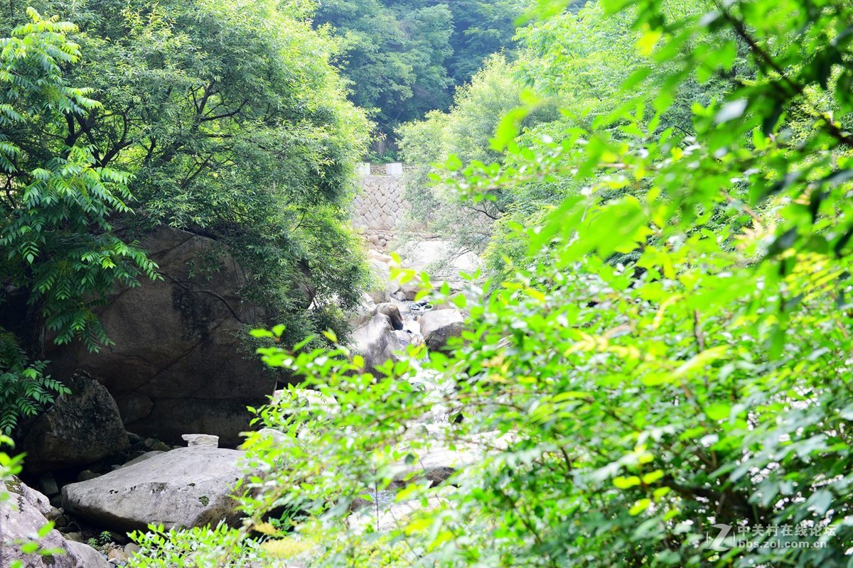 栾川天河大峡谷自然风光剪影（2）溪水长流