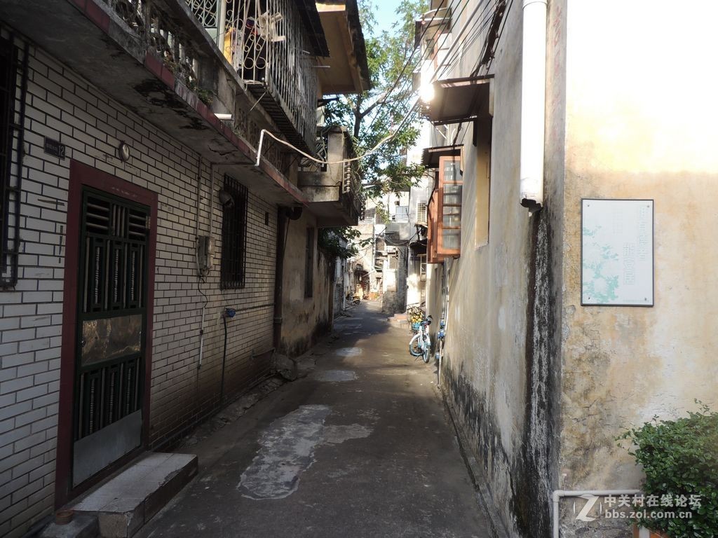 跟随儿子故地重游