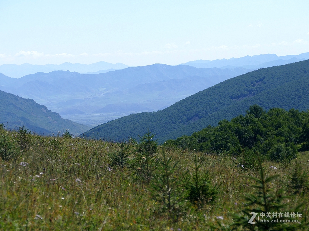 徕卡114入手一周年纪念帖