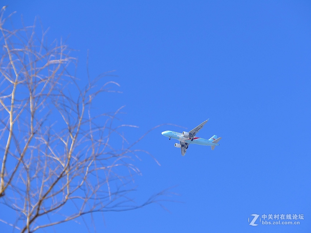 徕卡114入手一周年纪念帖