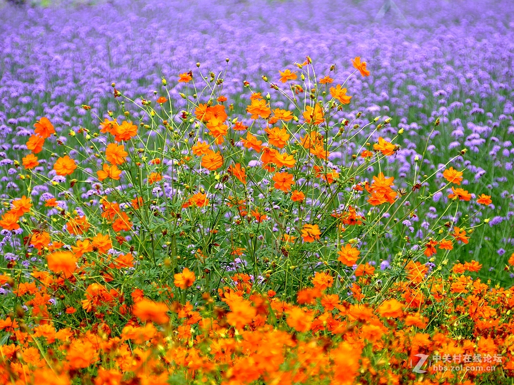 徕卡114入手一周年纪念帖