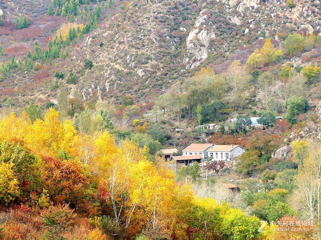 徕卡114入手一周年纪念帖