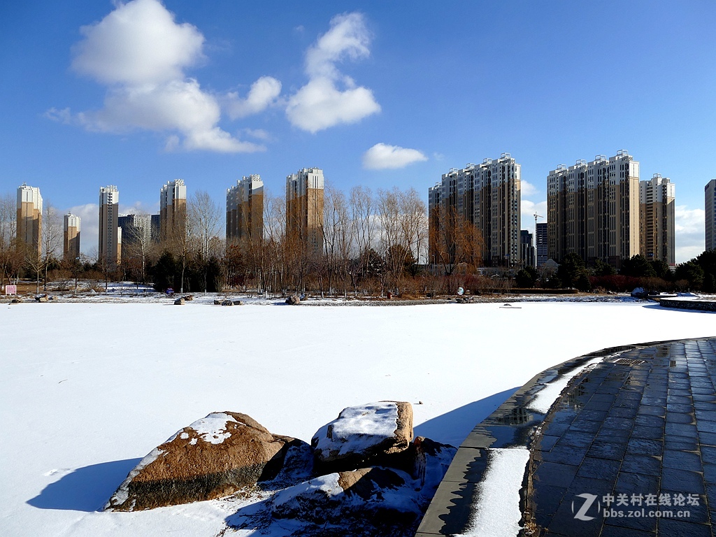 徕卡114入手一周年纪念帖