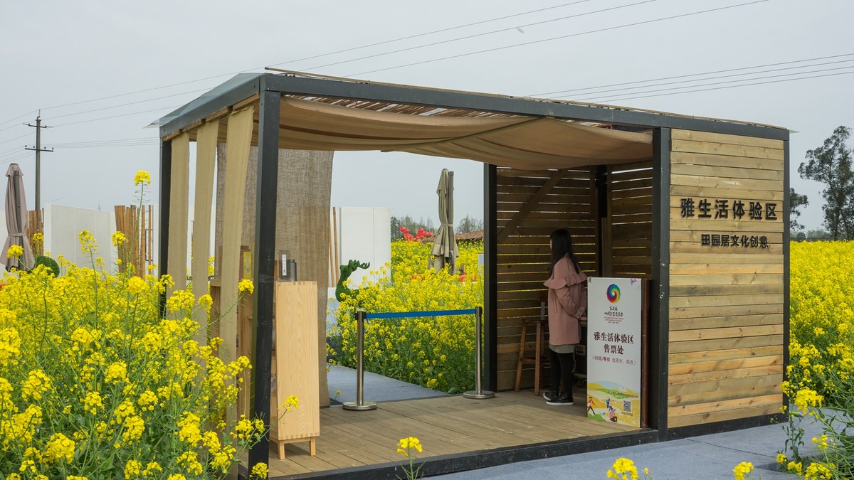 春天的气息--油菜花 2