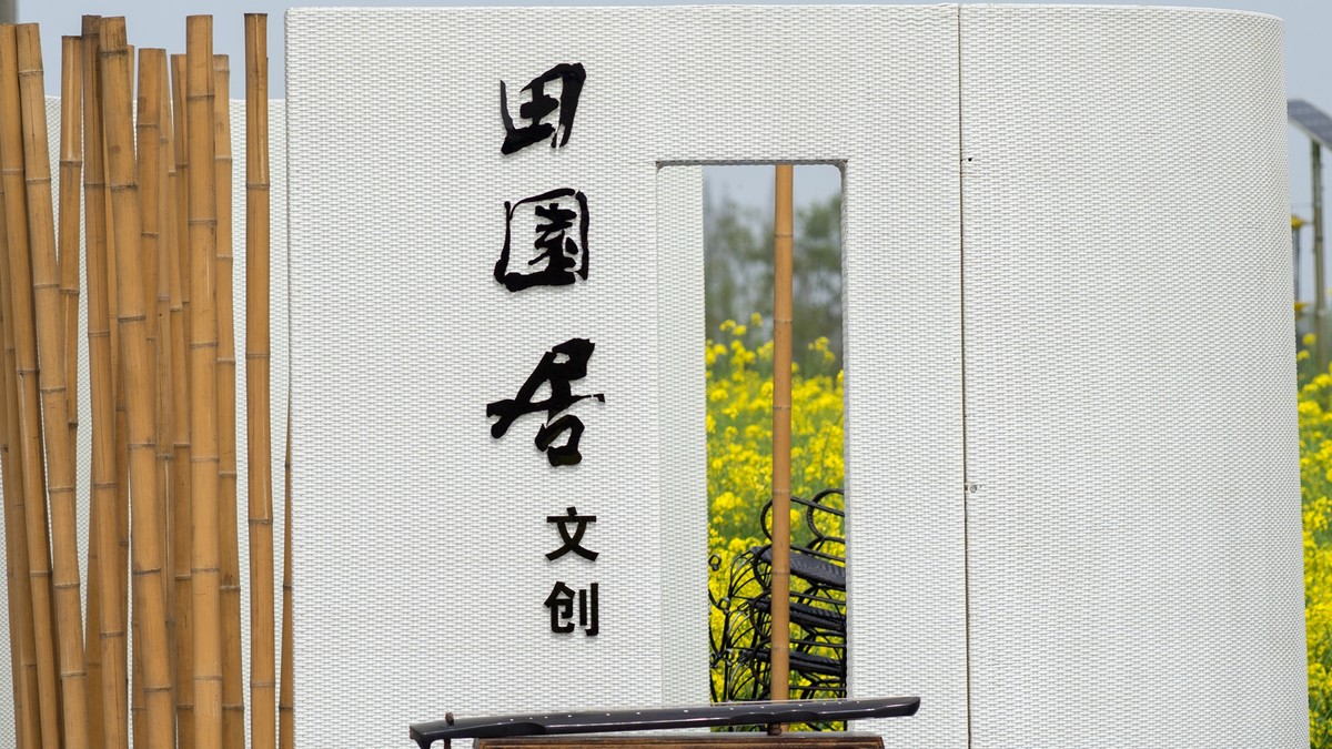 春天的气息--油菜花 2