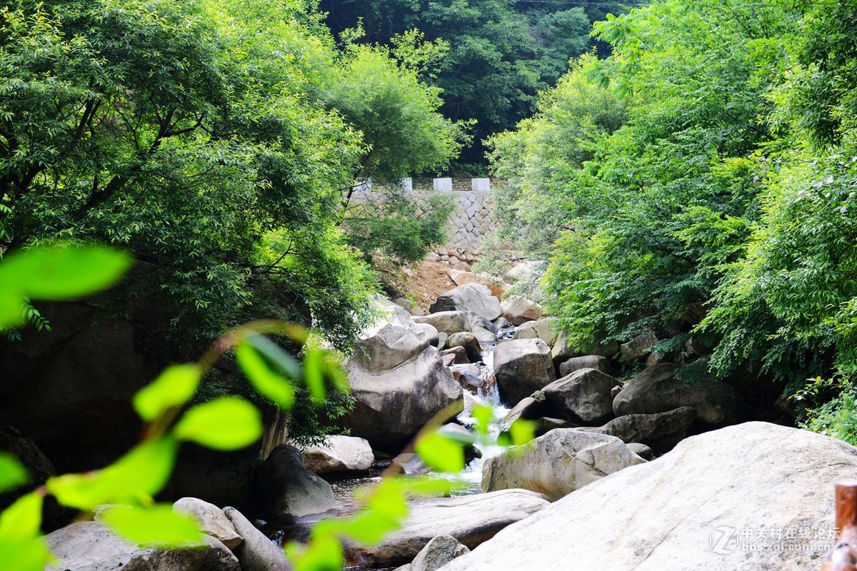 栾川天河大峡谷自然风光剪影（2）溪水长流
