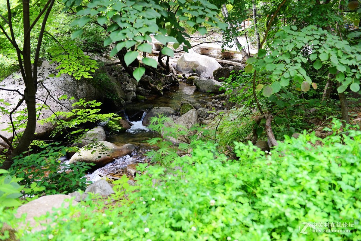 栾川天河大峡谷自然风光剪影（2）溪水长流