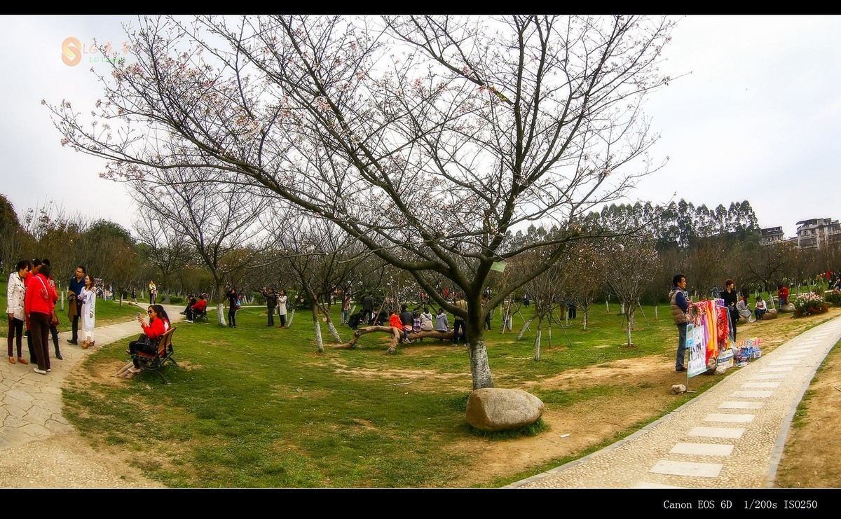 #佳能月赛-行走的印记#桂林山水甲天下—龙哥带你瞬间游览所有著名景点