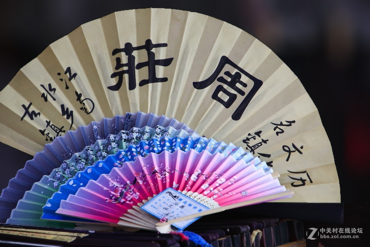 水乡行