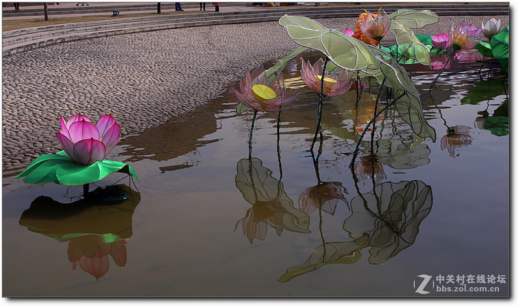 新春灯会【续】