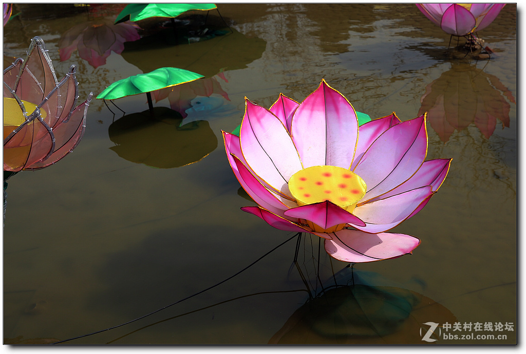 新春灯会【续】