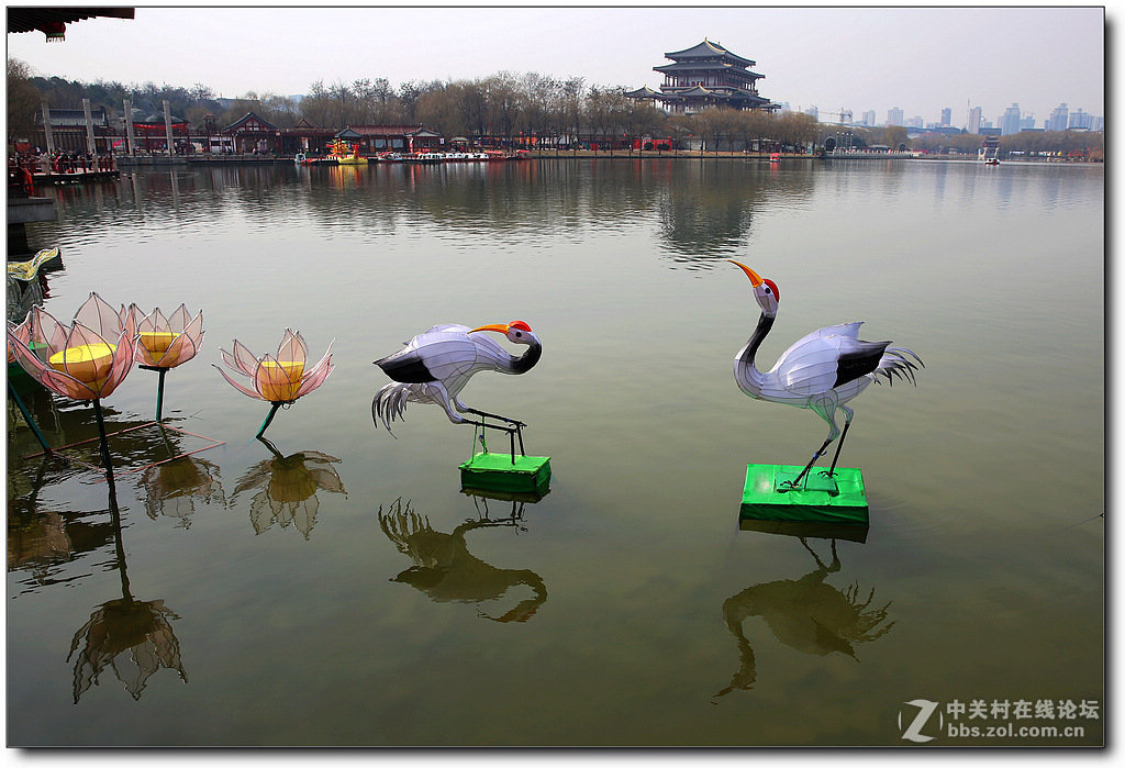 新春灯会【续】