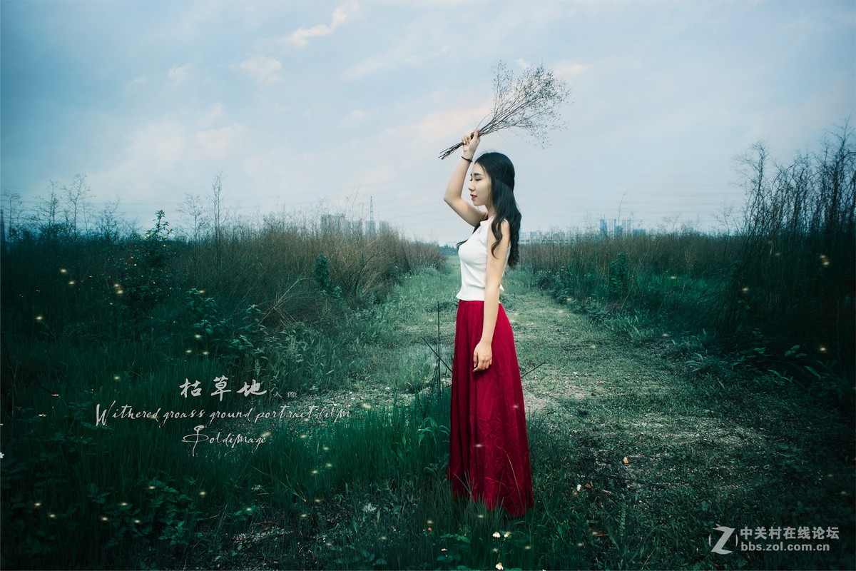 卡尔·蔡司Planar T* 135mm f/2 ZE {枯草地...人像}