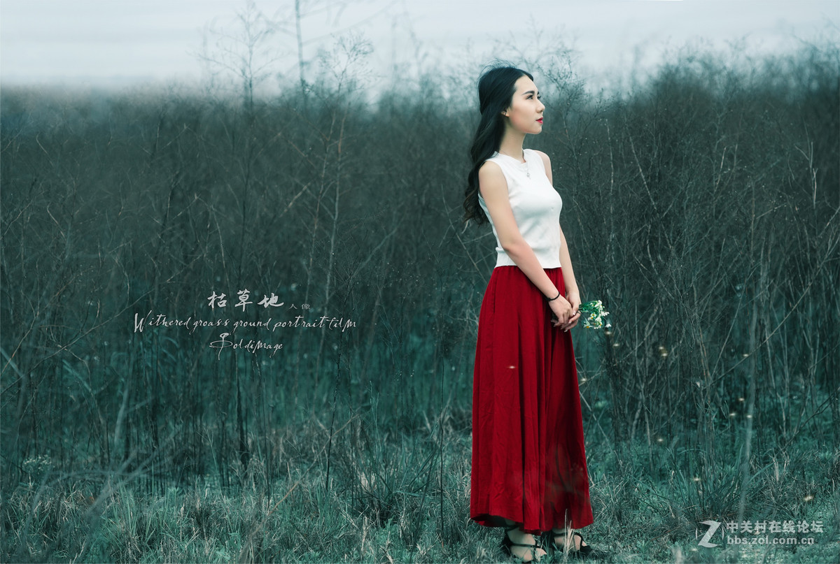 卡尔·蔡司Planar T* 135mm f/2 ZE {枯草地...人像}