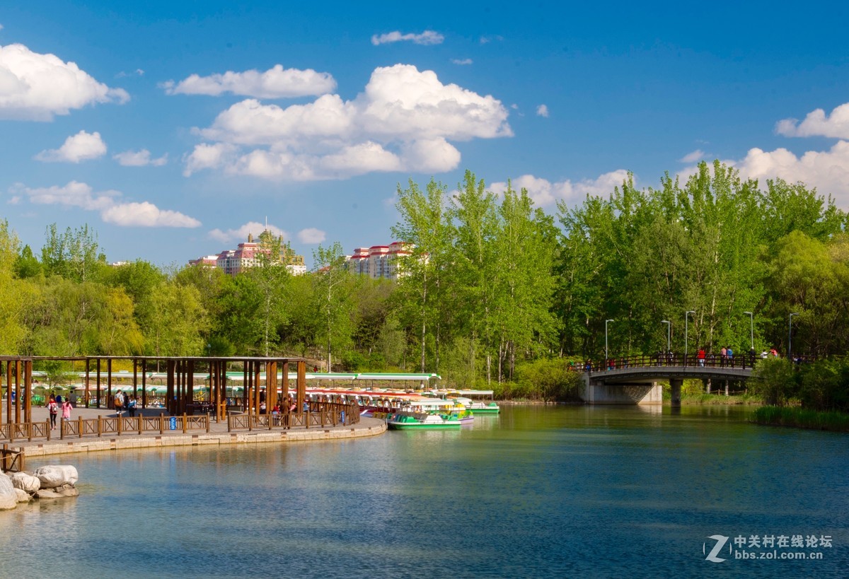 适马70-200 周末难得北京这么高的颜值