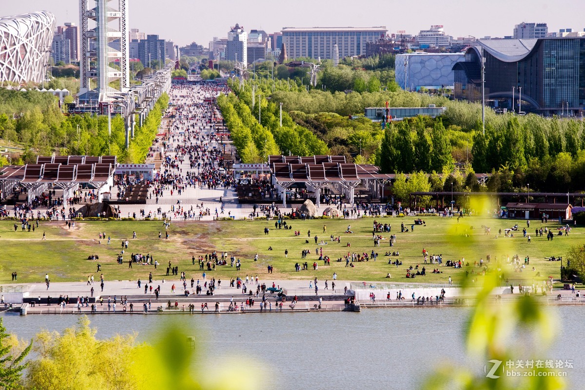 适马70-200 周末难得北京这么高的颜值