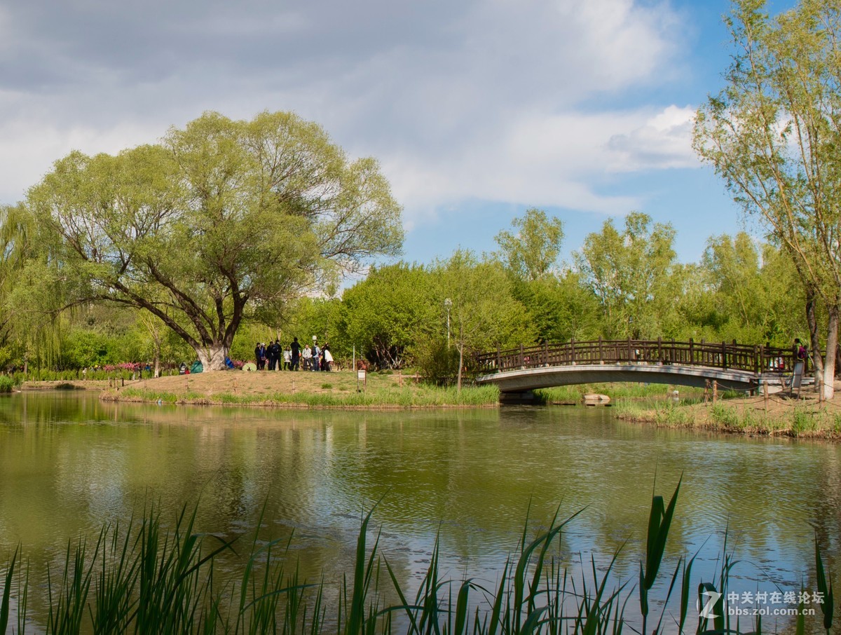 适马70-200 周末难得北京这么高的颜值