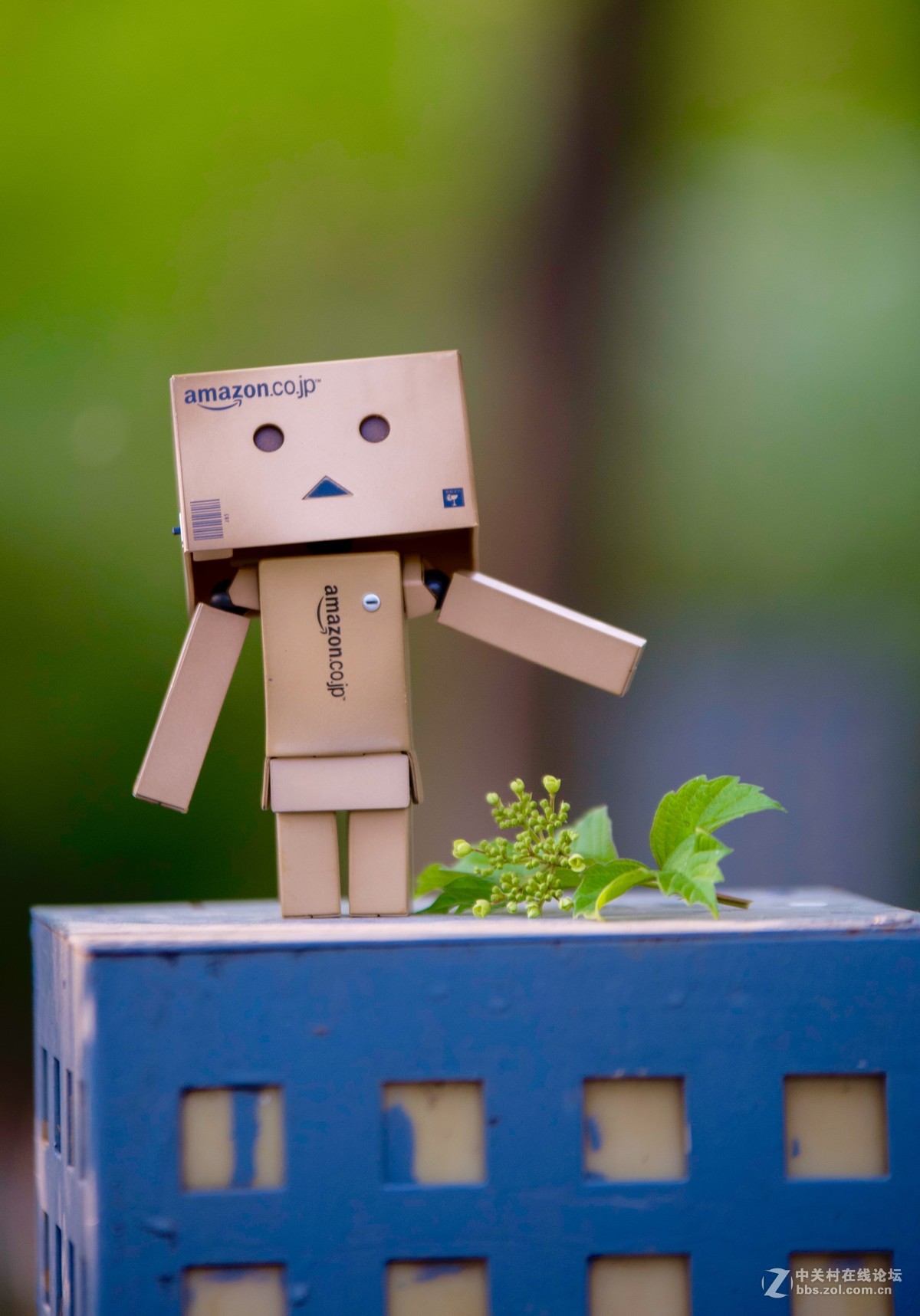 适马70-200 周末难得北京这么高的颜值