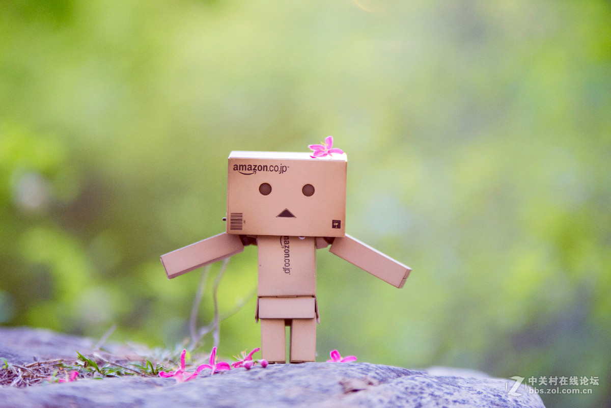 适马70-200 周末难得北京这么高的颜值