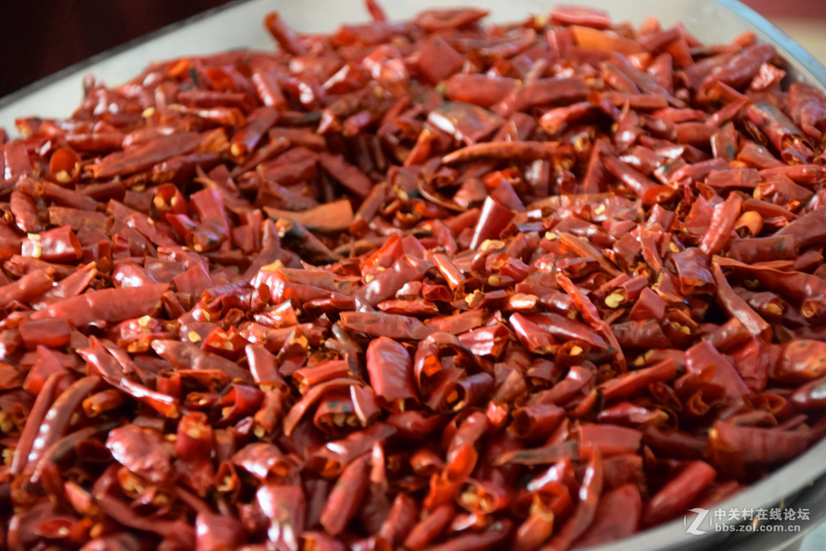 我是新来的，没事拍了几张在家里，请多指教