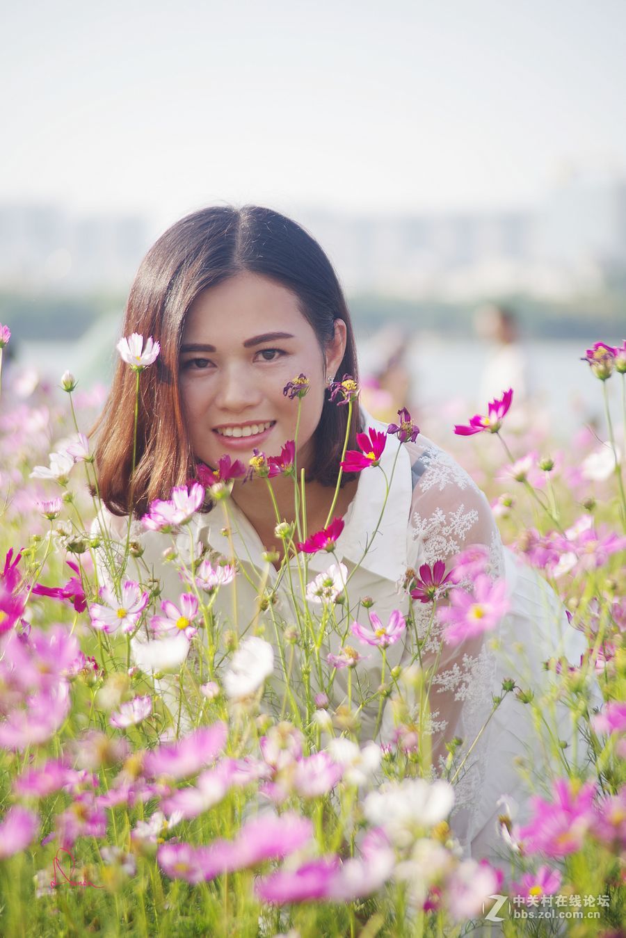泡在波斯菊花里的姑娘