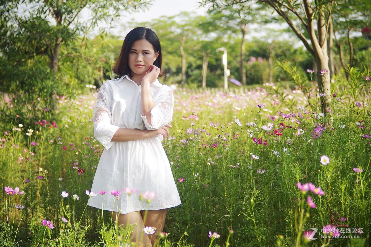 泡在波斯菊花里的姑娘