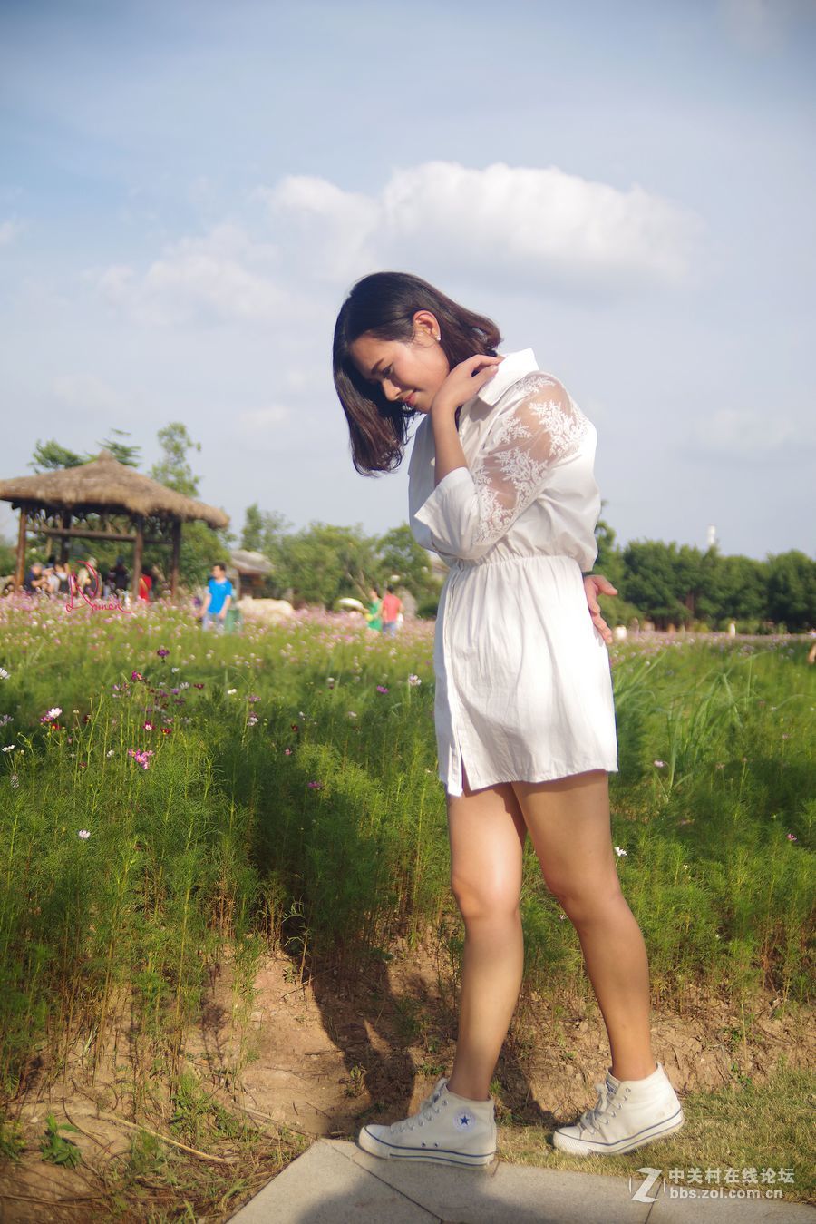 泡在波斯菊花里的姑娘