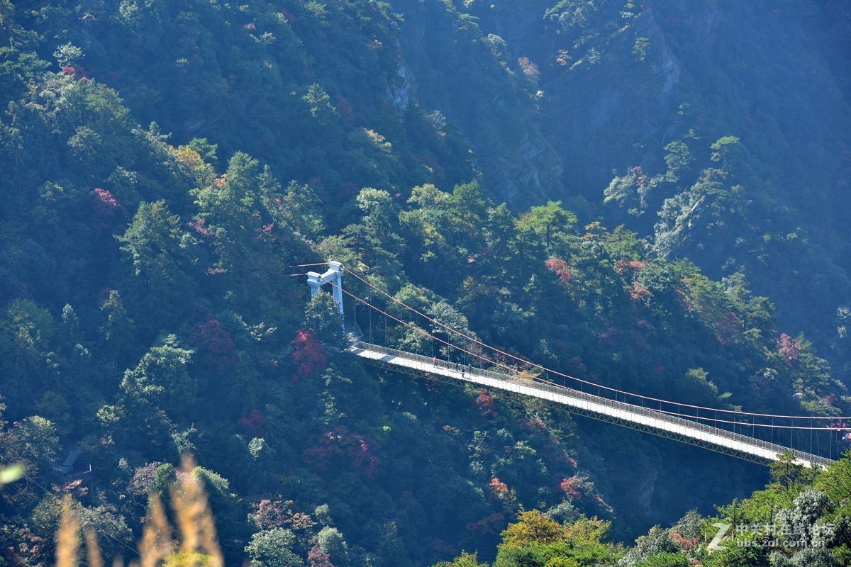 登廬山賞秋鷹嘴崖