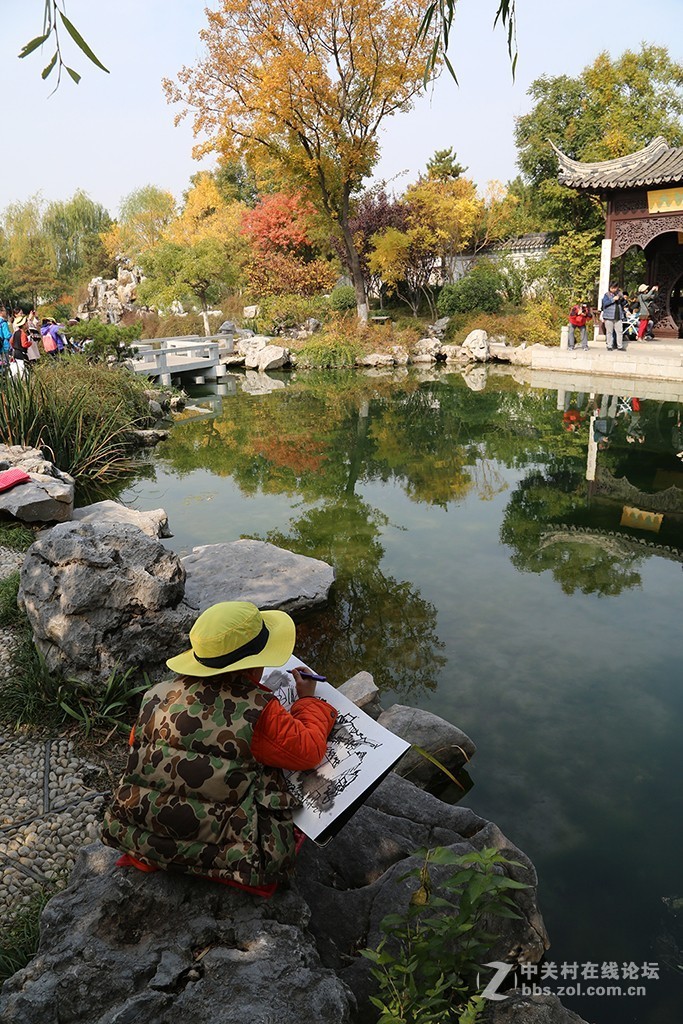 #佳能EOS R我的视角# 秋色拾贝