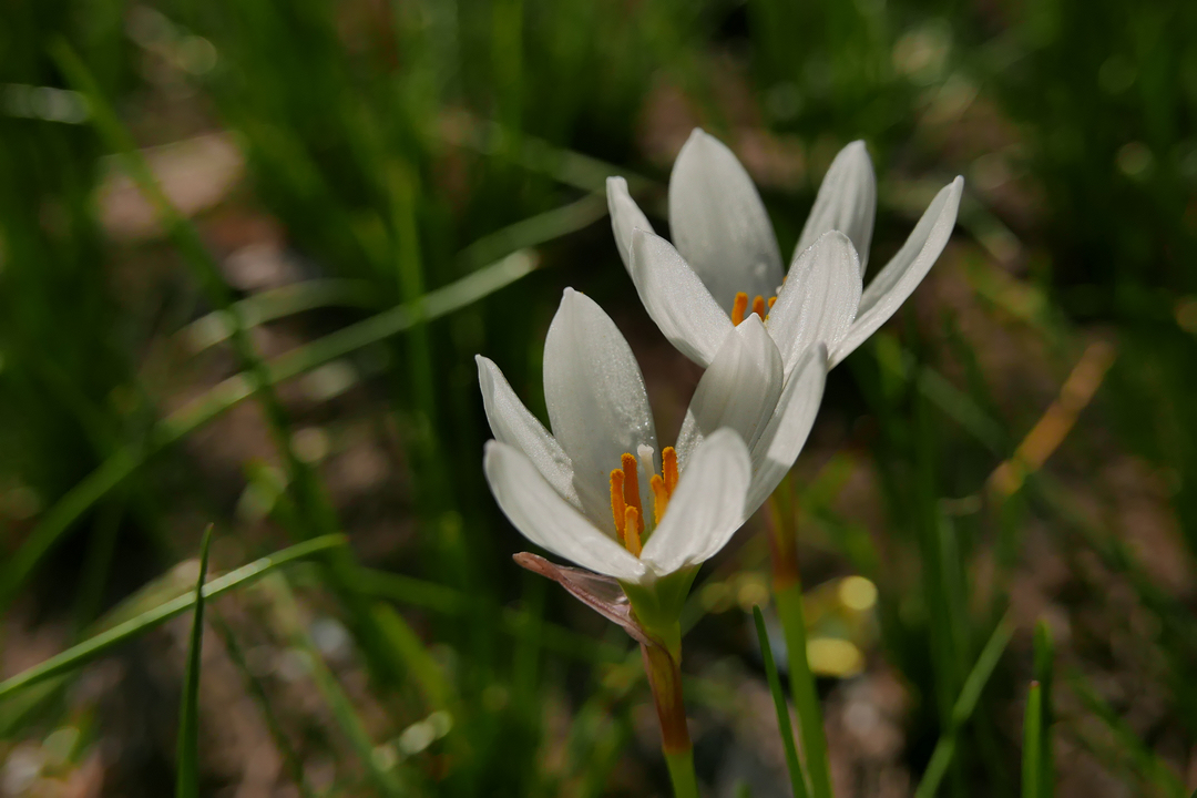 无题——试机贴