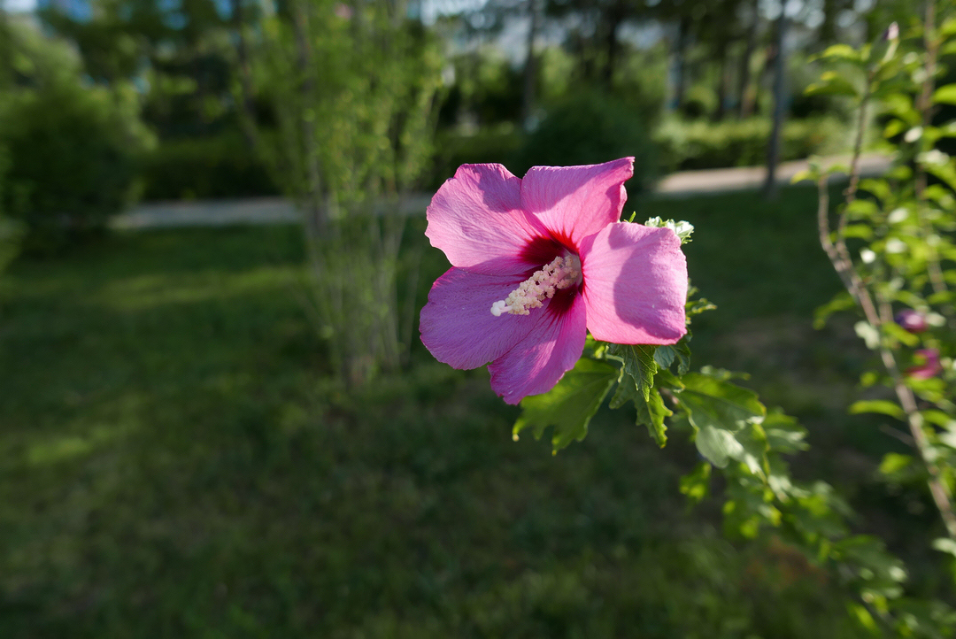 无题——试机贴